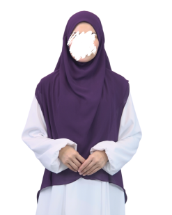 SAFINA CLIPE in 329 VIO